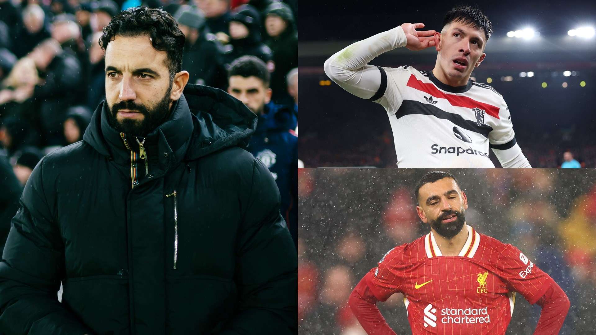 这些特质使 这些特质使