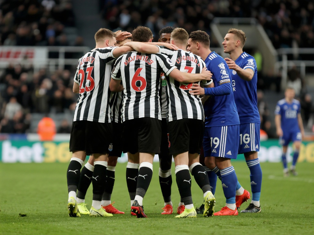 中国队新星 中国队新星